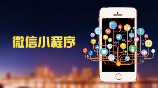 成都小程序開發(fā)：小程序開發(fā)公司能為客戶提供哪些專業(yè)的服務(wù)？
