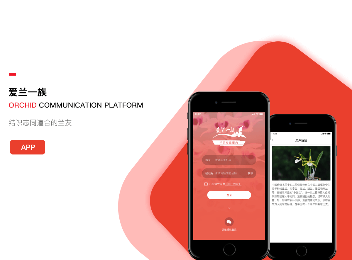 成都交流app開發(fā)