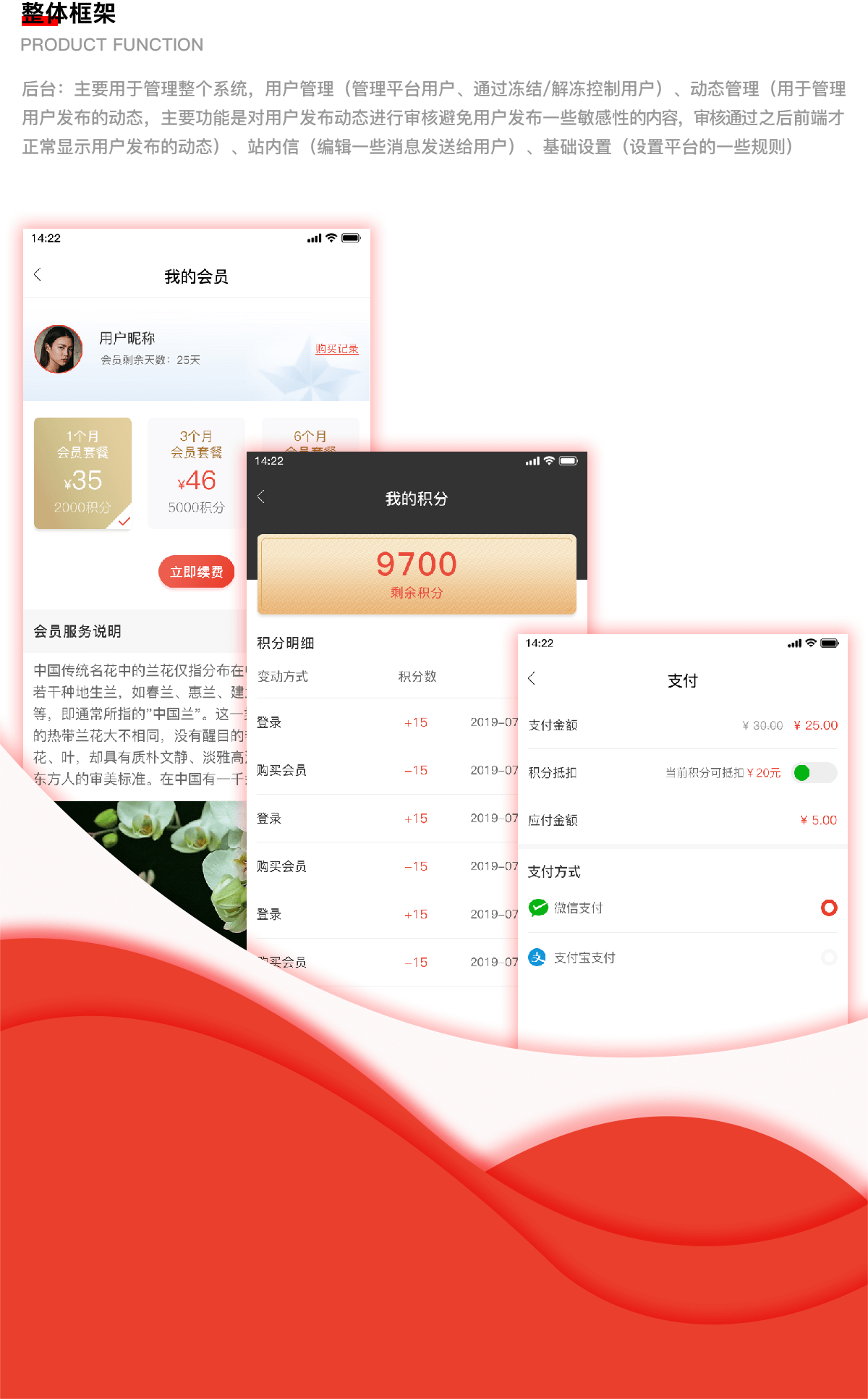 成都社交app開發(fā)