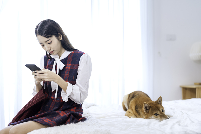 成都APP開發(fā)：寵物社交APP軟件開發(fā)，哪方面值得注意？